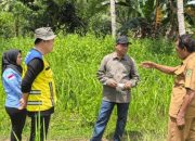 Bupati Haltim Tinjau Lokasi Rencana Pembangunan Dapur Makanan Bergizi Gratis (MBG)