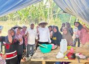 Wakil Bupati Halut Hadiri Kegiatan Pindah Tanam Rica Perdana