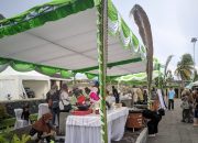 Ternate Gastronomy Festival 2025 Dimulai, Tauhid : Ditangan Para Ibu, Rempah Bukan Sekedar Masakan