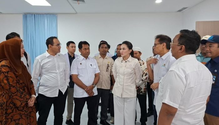 Kuker! Menteri Budi Tinjau RSUD Maba Jelang Peresmian, Ini Poin Pentingnya