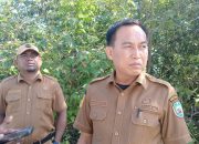 Akibatkan Longsor, Sekda Haltim Minta DPLH Surati PT Anglit Raya Hentikan Aktivitas